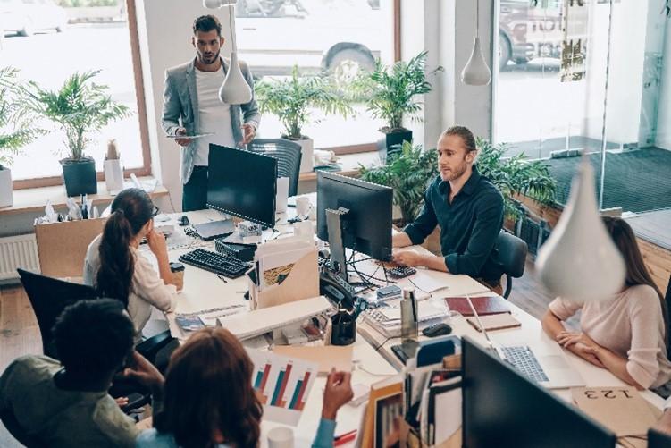 Office workers sitting at computers